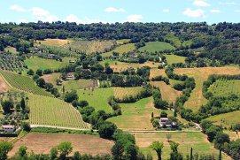 Ghidul vinurilor din regiunea Umbria, Italia